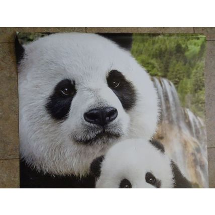 Born in China - Movie Poster - A Disney Nature Film - Featuring The Panda Bear