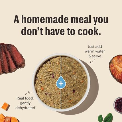 The Honest Kitchen Human Grade Dehydrated Whole Grain Dog Food – Complete Meal o