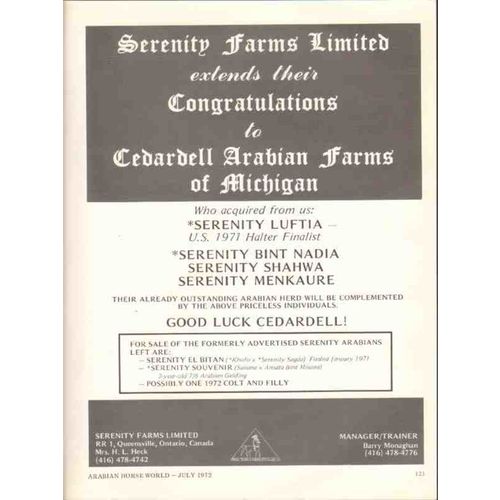 serenity farms limited 1972 luftia bint nadia shahwa horse vintage ad