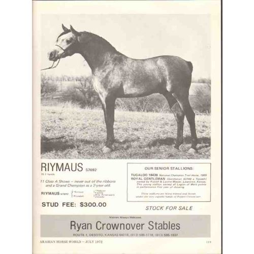 ryan crownover stables 1972 riymaus emaus riyadah horse vintage ad