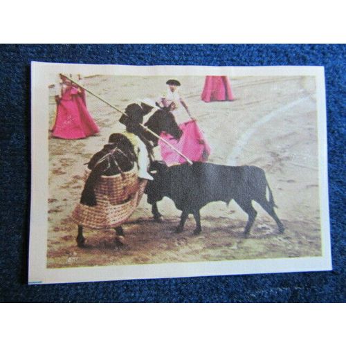 Unusual Sports 1968 ~ Jacques Chocolates Belgium Sports Sticker Variants (e9)