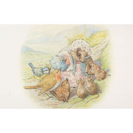 The Tale Of Mrs Tiggy Winkle Beatrix Potter 1905 Book Postcard