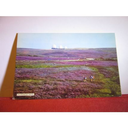 FYLINGDALES MOORS, YORKSHIRE vintage postcard unused by E T W Dennis =