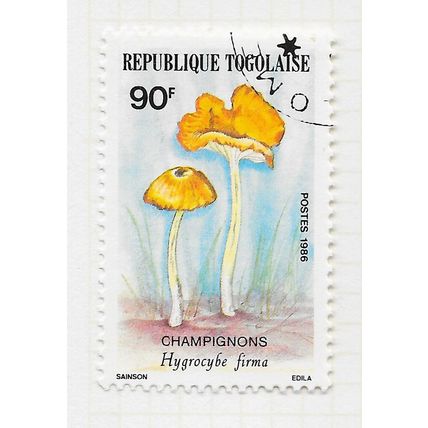 TOGO 1986 MUSHROOMS FUNGI CANCELLED HYGROCYBE FIRMA 90F