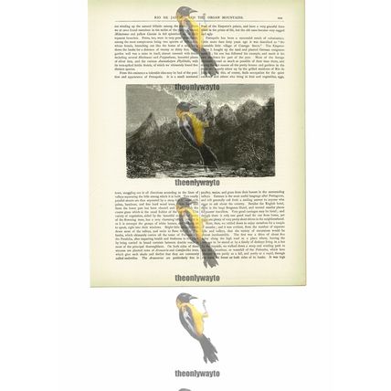 Organ Mountains, Rio De Janeiro, Brazil, Book Illustration (Print), c1880