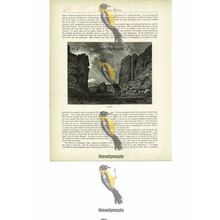 Canyon, Mexico, Book Illustration (Print), c1880