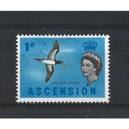 Ascension.SG70 1d Brown Bobby.Mounted Mint.Aug24d