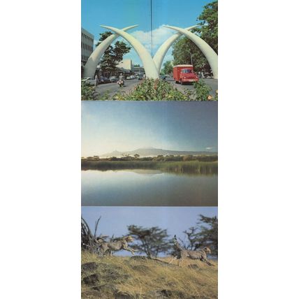 Kenya Mombasa Tusks Cheetahs Courting Mt Kilmajaro 3x Postcard s