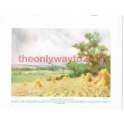 Canterbury from Sturry Woods, Kent, England, Book Illustration (Print), c1920