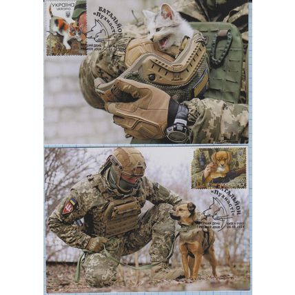 UKRAINE Maxi cards Kyiv Battalion "Fluffy" Dogs, Cats. Animals in the war. 2024