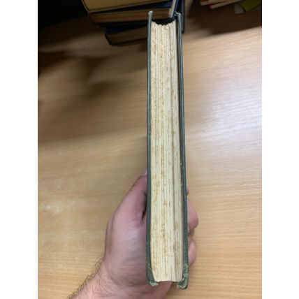 1890 JOHN RUSKIN "ARIADNE FLORENTINA" WOOD & METAL ENGRAVING ANTIQUE BOOK (P4)