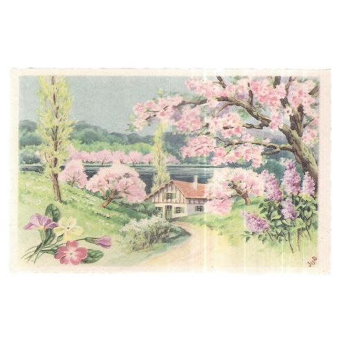 FRENCH used antique postcard TREES OF BLOSSOM not posted (a) =