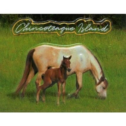 Chincoteaque Island with Horses Virginia Fridge Magnet