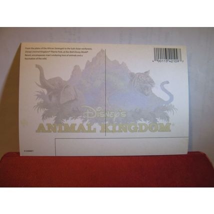 DISNEY'S ANIMAL KINGDOM, FLORIDA, US unused postcard =