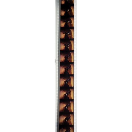 WIZARD OF OZ . Pk RED - B040n. 1 STRIP OF 10 - 35MM FILM CELLS