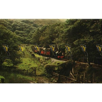 Dolgoch Fall Station, Talyllyn, Wales, Colourmaster Postcard