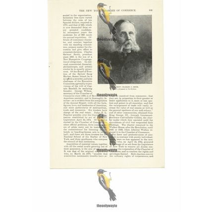Charles S Smith, President NY Chamber Of Commerce, Book Illustration, 1891