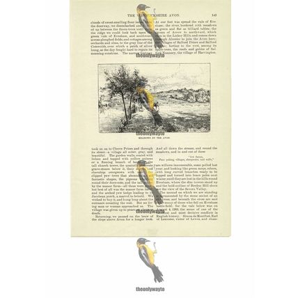Meadows By The Avon, Cotswolds, Rural England, Book Illustration (Print), 1891