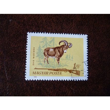 Hungary 1964 Hunting 1fo Mouflon used stamp SG2039 animals