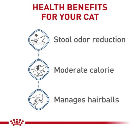 Royal Canin Indoor Adult Dry Cat Food, 15 Lb Bag