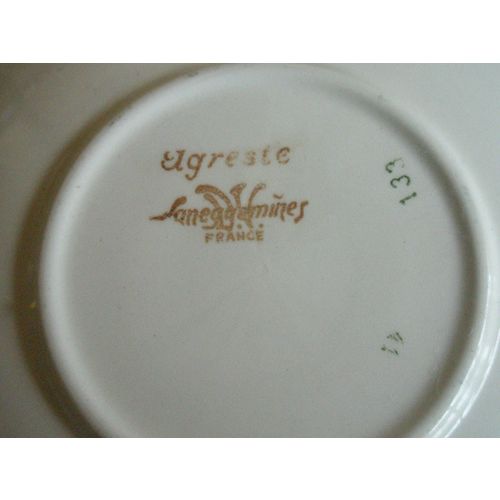 Nice French Sarreguemines Elgreste Cup & Saucer