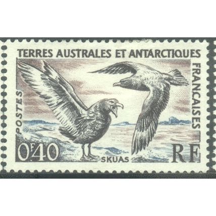 French Southern & Antarctic Territories 1959 - 0.40Fr - Catharacta skua - MH
