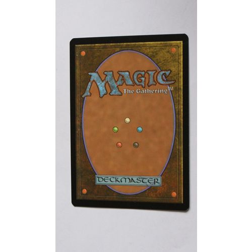Magic the Gathering MTG CCG: Ixalan - # 25 Paladin of the Bloodstained (A) 2017