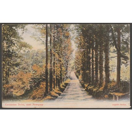 Carnanton Drive near Newquay, Cornwall, 1907 - Argall's Postcard