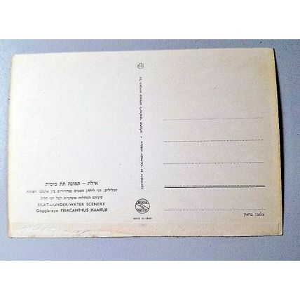 PRIACANTHUS HAMRUR - GOGGLE EYE - POSTCARD