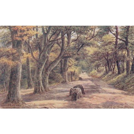 E114 WESTON SUPER MARE -KEWSTOKE WOODS. A.R.QUINTON