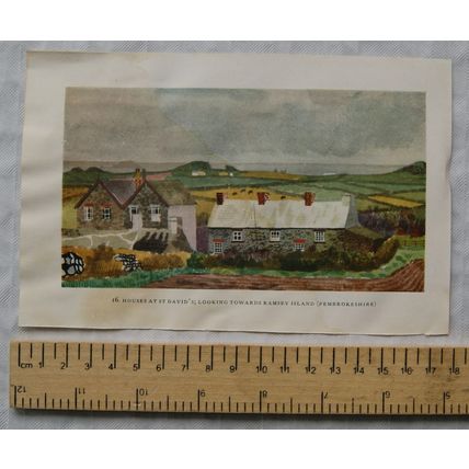 Vintage illustration: St. David's to Ramsey Island / Houses & Cathedral