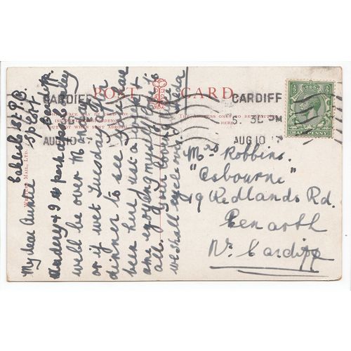Cardiff Castle 1917 Postcard D F & Co