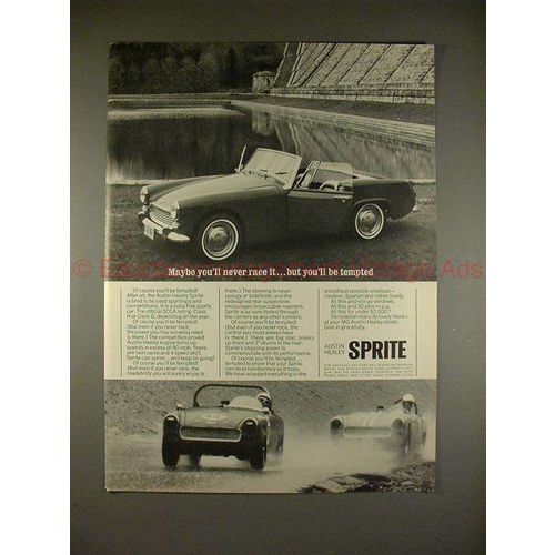 1965 Austin Healey Sprite Car Ad - You'll be Tempted!!