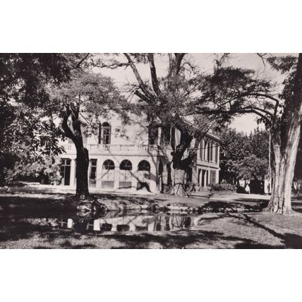 Montpelier Sportive D'Education Gym Sports Physique Real Photo Postcard
