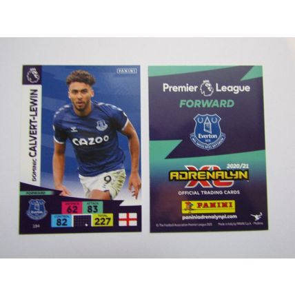 Panini Adrenalyn XL Premier League 2020/21 Numbers 172-369 Cards Choice (ef10)