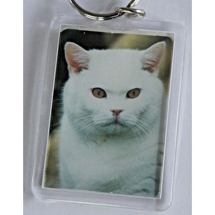 CAT BREED KEY RINGS QUALITY ACRYLIC DOUBLE SIDED PHOTO KEY RINGS 8 BREEDS