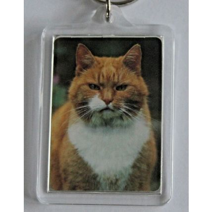 CAT BREED KEY RINGS QUALITY ACRYLIC DOUBLE SIDED PHOTO KEY RINGS 8 BREEDS