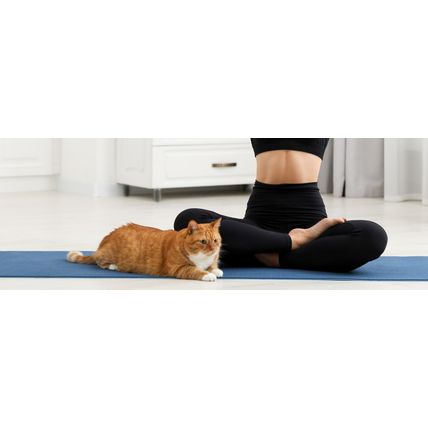 PURINA CAT CHOW YOGA MAT-NEW-SEALED-FAST SHIPPING