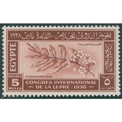 Egypt 1938 5m red-brown Leprosy Congress SG273 unused