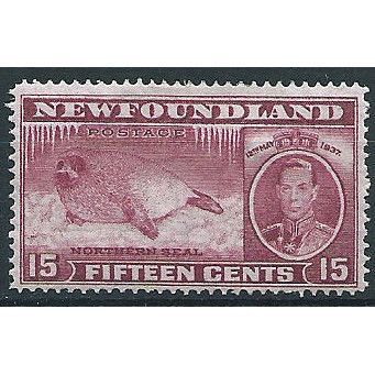 Newfoundland 1937 SG263 15c Claret Coronation Mounted Mint .. ..