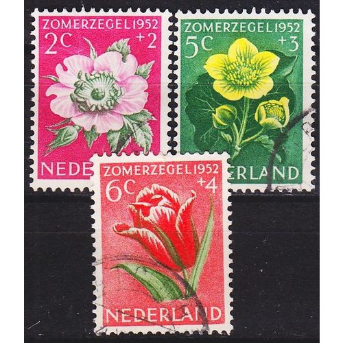 NIEDERLANDE NETHERLANDS [1952] MiNr 0588 ex ( O/used ) [01] Blumen