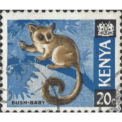 KENYA, MAMMAL, Bushbaby, Galago senegalensis, blue 1966, 20c, #3