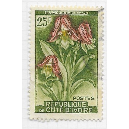 IVORY COAST 1961 FOXGLOVE ORCHID 25F USED FLORA
