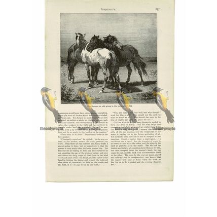 Wild Horses, Book Illustration (Print), 1888