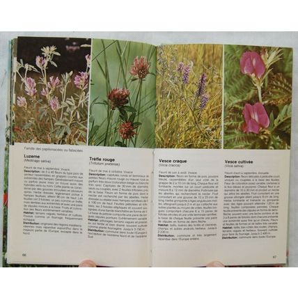 1978 Les fleurs sauvages de nes regions by Helen Pursey