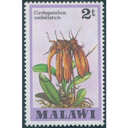 Malawi 1979 2t Cirrhopetalum umbellatum SG578 MNH