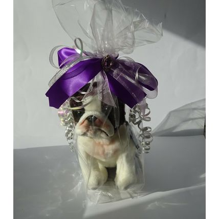 SCHNAUZER 12" TOY DOG, just as it is, personalised, gift wrapped 3 options