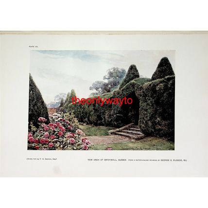 YEW ARCH AT BRICKWALL, SUSSEX, Book Illustration (Print), 1907