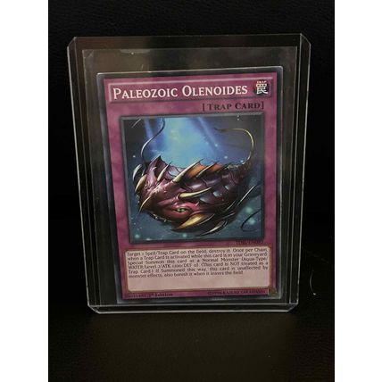 Paleozoic Olenoides - TDIL-EN095 - Common - 1st Edition The Dark Illusion Yu-Gi-