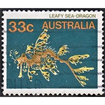 AUSTRALIA,1985 33c Leafy Sea-Dragon, SG 926 (Scott #909), good used
